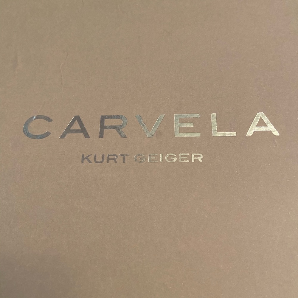 Gorgeous Carvela / Kurt Geiger black suede shoes - Picture 7 of 7